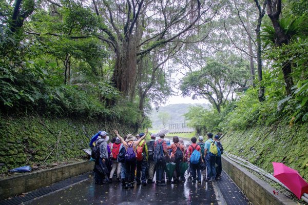 暖東峽谷/草嶺舊隧道2816509