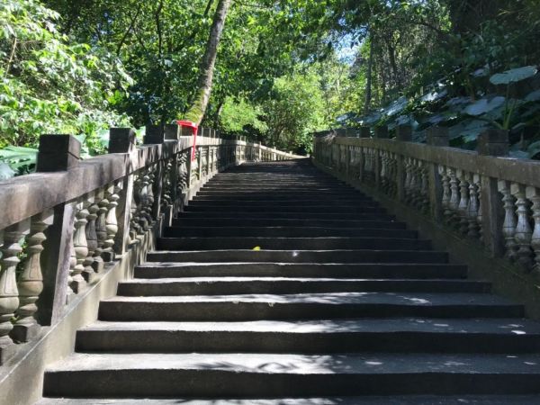 1070310 圓通寺登山步道284084