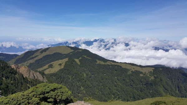 合歡西峰步道 2017 08 08153467