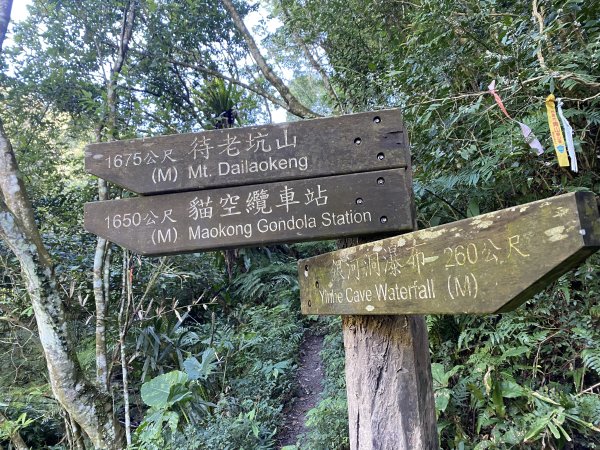 《銀河洞越嶺到貓空｜冬日健行 4 5 公里秘境步道｜親子也適合的台北近郊路線》2971030