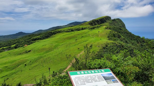 桃源谷大溪線 鼻頭角步道1736283