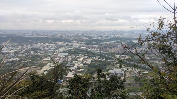 鳶山登山步道2078830