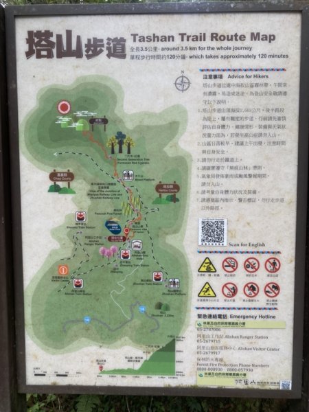 大塔山3062641