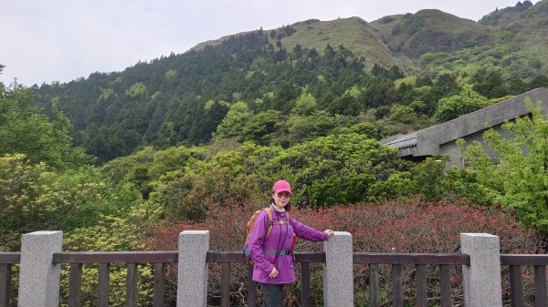 (姨婆趴趴走)第五十一集:台北冷擎步道、金包里大路(魚路古道)2757226