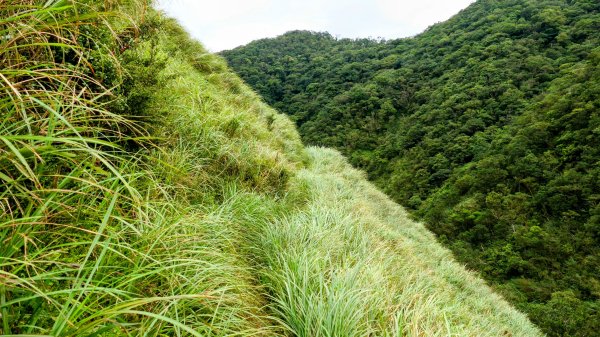 桶後越嶺古道2876806