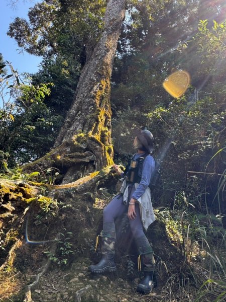 留龍頭-嶺頭山-金柑樹山-忘憂森林（2025必去）2720349