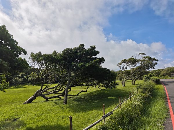 [百山百鳥尋旅-02/15] 2025_0809 社頂自然公園步道2856885