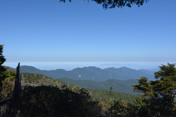 塔曼山樹洞雪景1239451