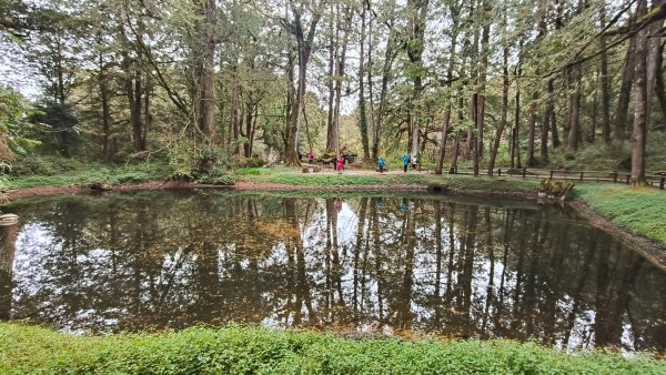 神阿縱走~台灣難抵極~大塔山2971513