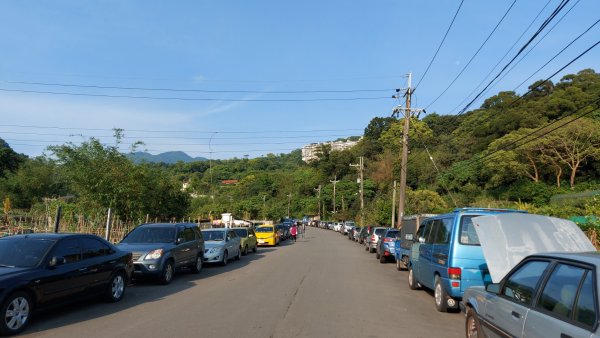 樹梅坑登山步道 楓丹白露步道  忠義山  妙覺寺  嘎嘮別山2091953