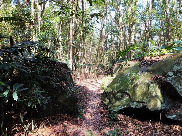 水雲三星之老二  鳥嘴山(上島山)1253725