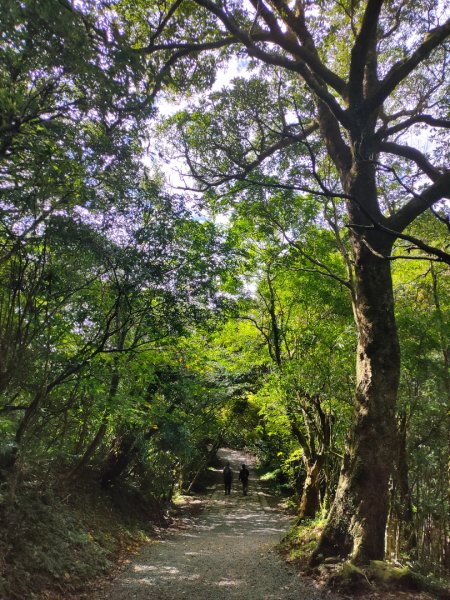 ［面天山］［向天山］［二子坪］的美麗雲彩2349136