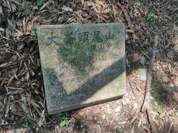 ［2023 台北大縱走第四段］（大湖捷運~楓櫃嘴）2189134