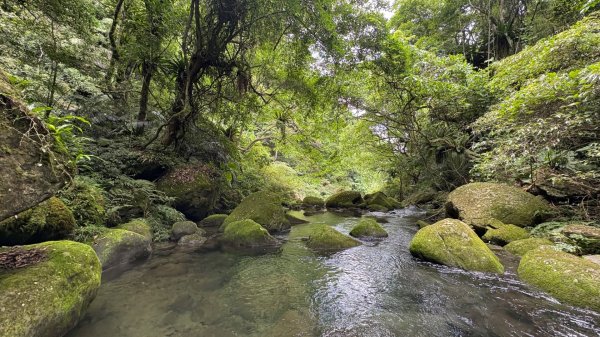 戲水（鴛鴦2786708