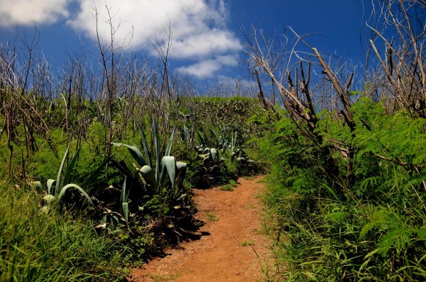 蛇頭山-小百岳#100-澎湖縣馬公市2827354