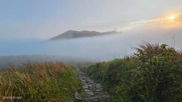 #大屯山 #雲海 3/223019593