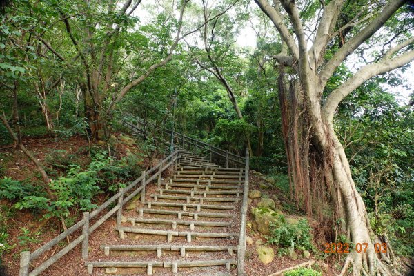 新北 五股 外寮嶺(五股山、水碓山)1752431