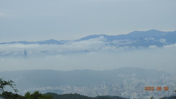 雲山水花鳥蝶 - 雲霧飄渺間的101大樓也是天空之城 ?1731674