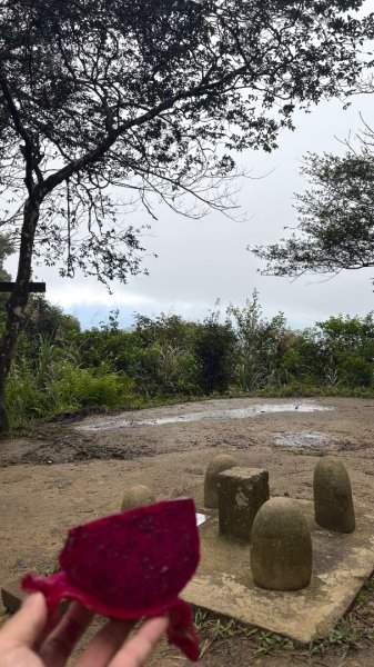 太、清、石2994651