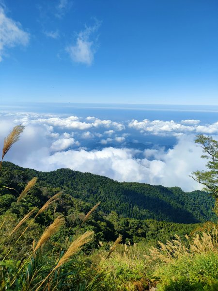 在那遙遠的南庄，有座加里山1925893