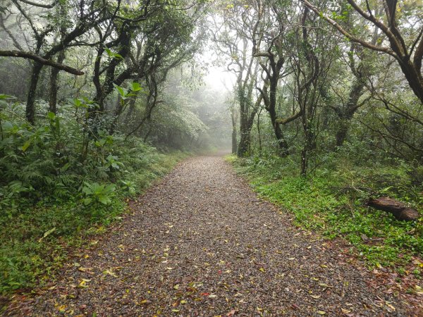 2026年臺北大縱走第一段：關渡至二子坪3010867