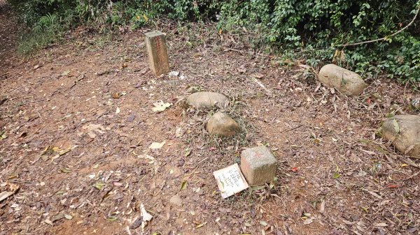 20251226糖塔山-埤塘窩山-石頭坑山2969770