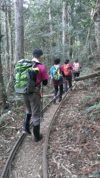 20160404苗栗加里山(二坪山入口)34187