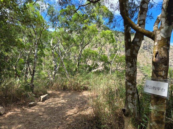 里龍山（小百岳）2788726