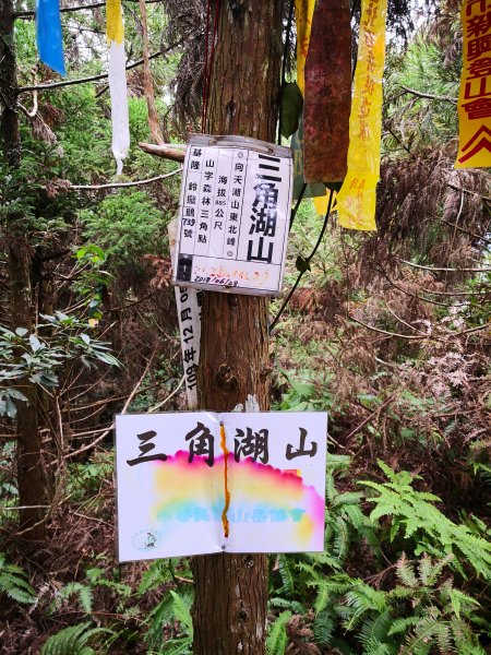 光天高山 向天湖山 三角湖山1525455