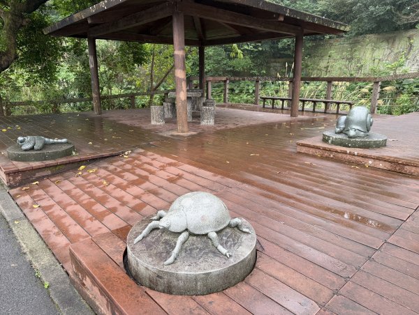 [樟之細路_第一大段RSA01] 2026_0329 大平紅橋3026648