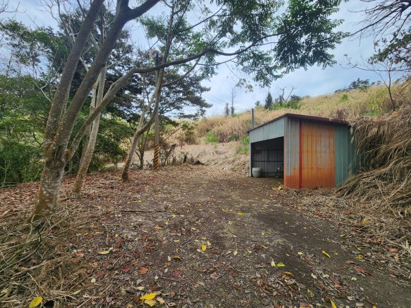 20260224雞隆山、八角林山、上果作園山3023626