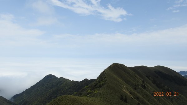 陽明山趴趴走，整天差強人意雲海1650812