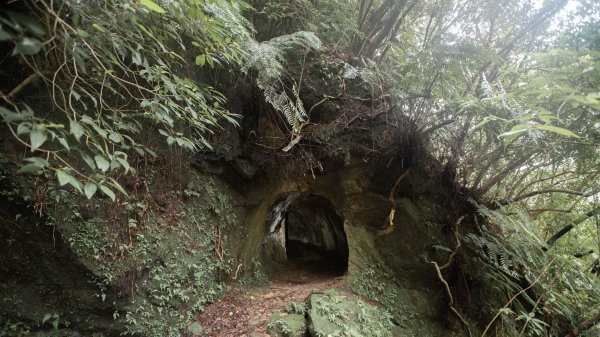 傳說中的「魔神仔洞」| 菁桐古道（汐止段＆平溪段）2721253