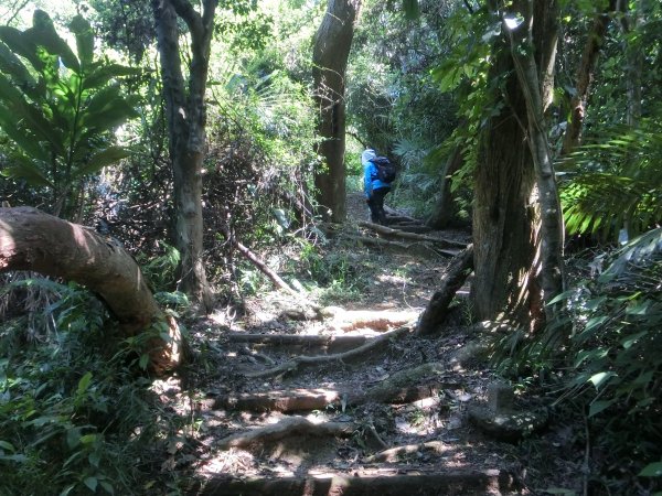 康樂山．明舉山．風化紋岩壁452693