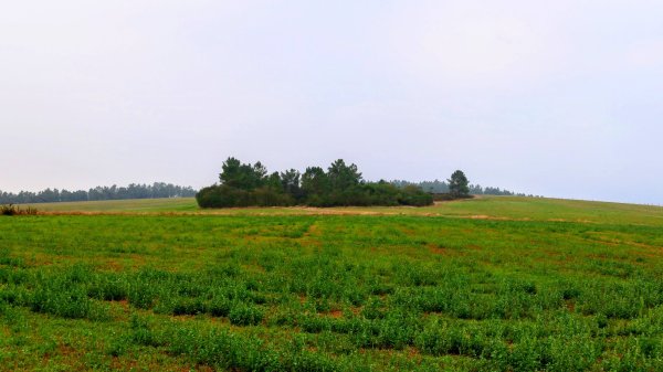 西班牙朝聖法國之路115KM, Day23125672