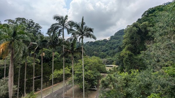 獅山古道 (獅頭山)2545662