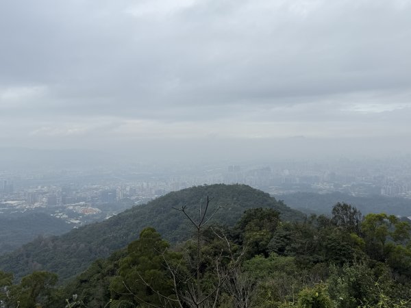 1150206天上山及硬漢嶺2999154