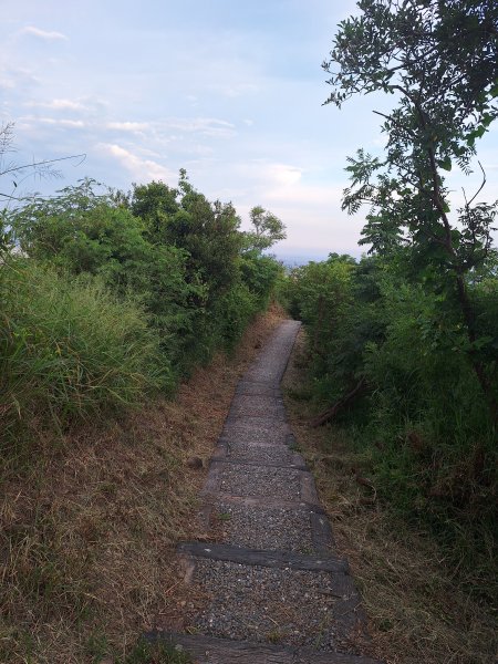 台東鯉魚山11508083115845