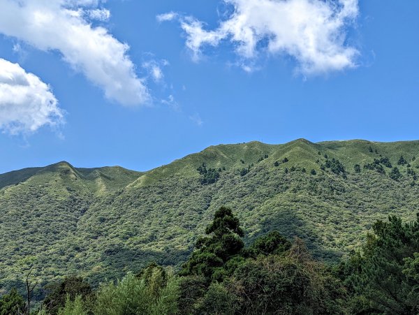 竹子湖步道群悠遊行1853521