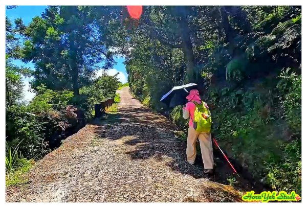 北環段七星山人車分道 七星瀑布 夢幻湖 下冷水坑泡腳趣2864593
