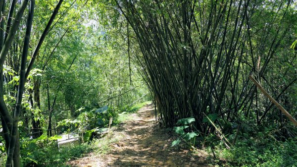 拳山古道,土地公嶺古道,中埔山古道,文山森林公園2578165