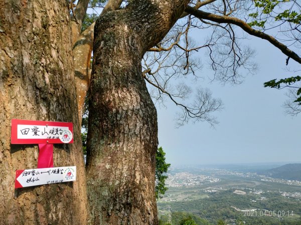 [新竹橫山]田薯縱走...田寮山+毬子山+水頭排山+鎮石山+薯園山1337289