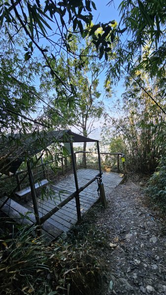 250123-八攀魔王小百岳#073尾寮山。想不到美美兔尾寮山五闖、六登、七衝已攻佔＜台灣森林悠遊網2697996