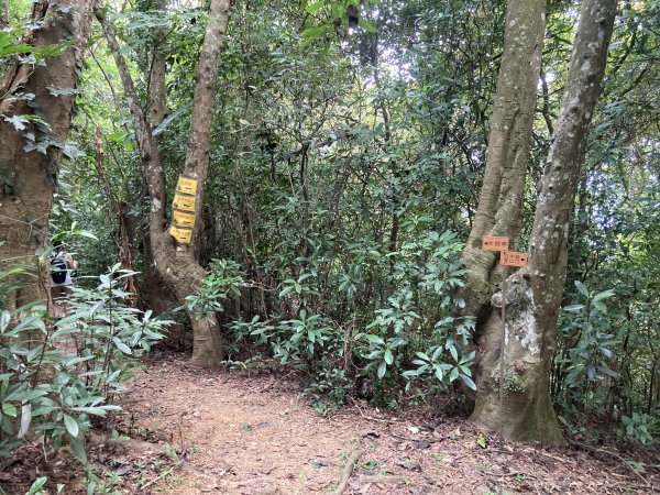 打牛崎古道2564042