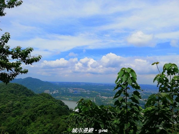 【桃園。大溪】療癒的綠色山徑。 小百岳集起來。編號23小百岳-溪洲山1448868