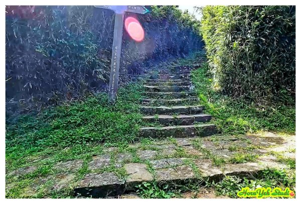 北環段七星山人車分道 七星瀑布 夢幻湖 下冷水坑泡腳趣2864578