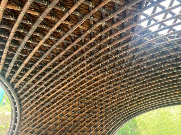 嵐山再古坑。五元兩角 木馬古道2806190