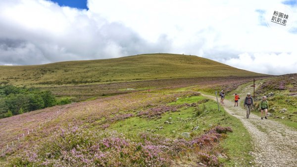 【勇氣2.0朝聖之旅】 D1庇里牛斯山賞雲海652989