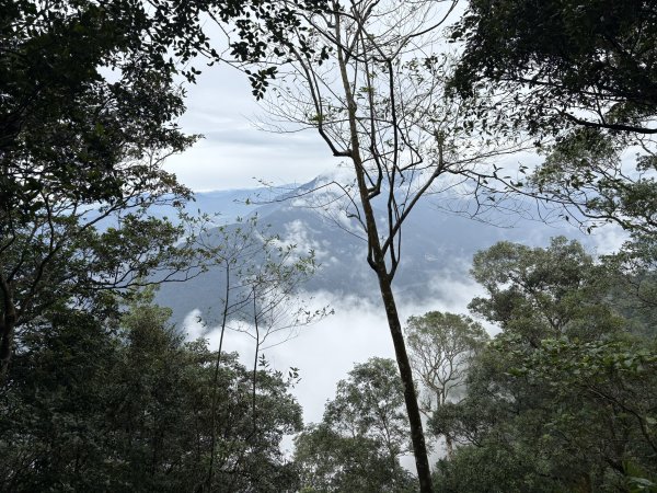 20251227尾寮山登山步道2970524
