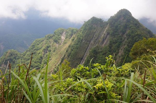 【嘉義】大坑凌雲巖走文峰山、天雲山